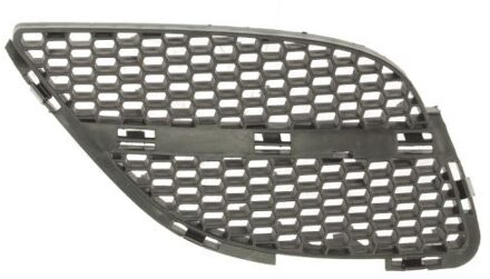Nissan Radiateurgrille 5513001632914P