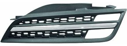 Nissan Radiateurgrille Priority Parts 6024243