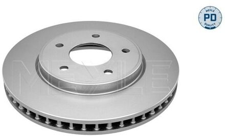 Nissan Remschijf 36155210060PD