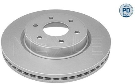 Nissan Remschijf 36835210046PD