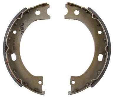 Nissan Remschoenset, parkeerrem