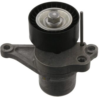 Nissan Riemspanner, poly V-riem 36831