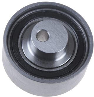 Nissan Riemspanner, tandriem