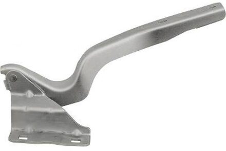 Nissan Scharnier, motorkap 6045818