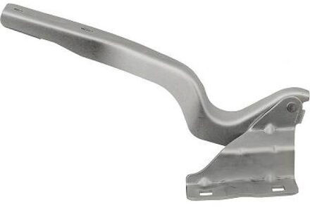 Nissan Scharnier, motorkap 6045819