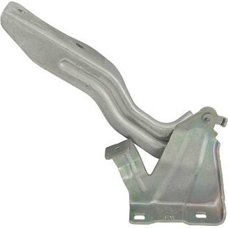 Nissan Scharnier, motorkap 6046819