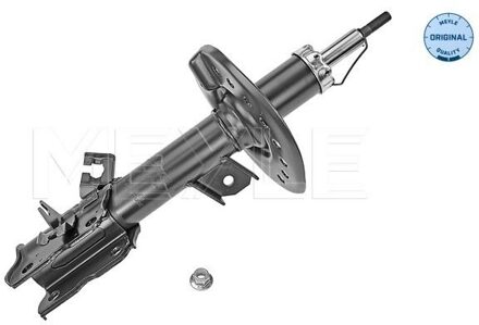 Nissan Schokdemper 16266230017