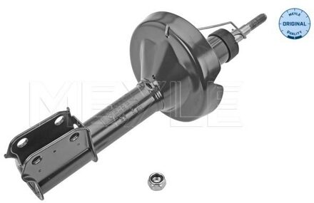 Nissan Schokdemper 16266230030