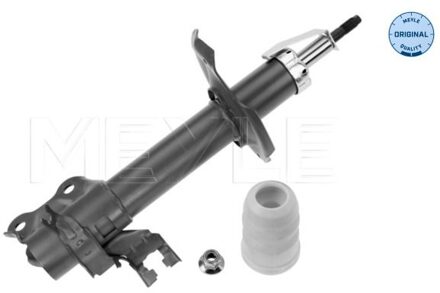 Nissan Schokdemper 36266230004