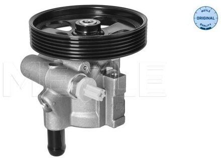 Nissan Servo pomp 16146310007