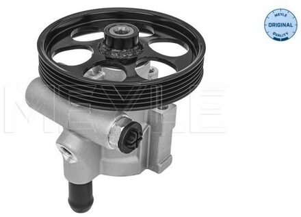 Nissan Servo pomp 16166310002