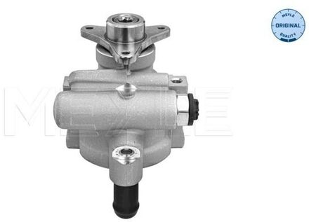 Nissan Servo pomp 16166310006