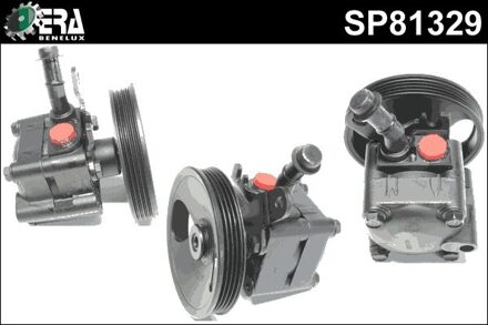 Nissan Servo pomp SP81329