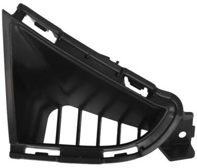 Nissan Sier- / beschermingspaneel, bumper 5703051684928P