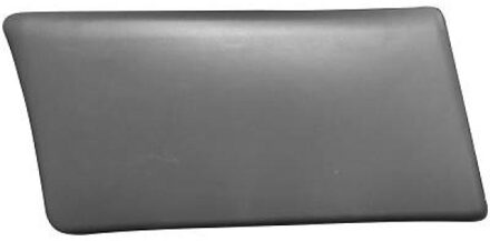 Nissan Sier- / beschermingspaneel, zijwand 1896266