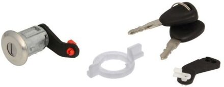 Nissan Slotcilinderset 601009002425P