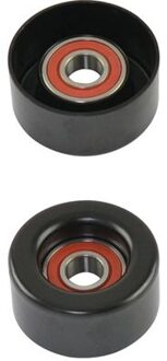 Nissan Spanrol Poelie DTP6534