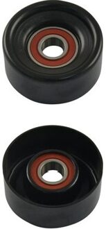 Nissan Spanrol Poelie DTP6546