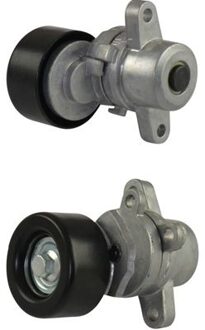 Nissan Spanrol Poelie DTP6550