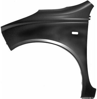 Nissan Spatbord 6024007