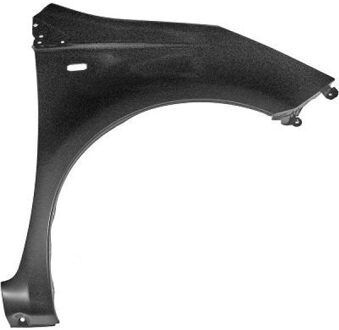 Nissan Spatbord 6035006