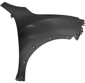 Nissan Spatbord 6075106