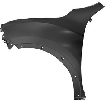 Nissan Spatbord 6075107