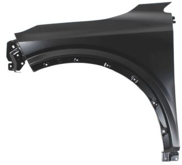 Nissan Spatbord 6504041620313P