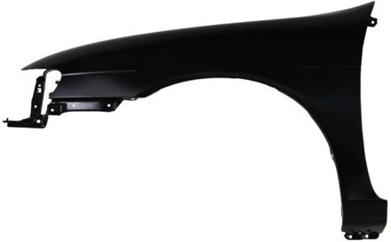 Nissan Spatbord 6504041629311P