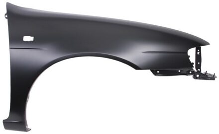 Nissan Spatbord 6504041629314P