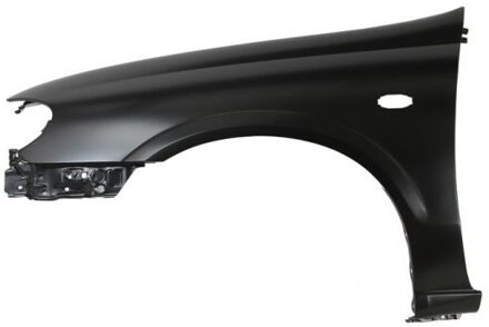 Nissan Spatbord 6504041632313P