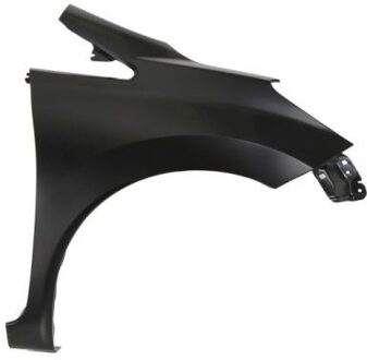 Nissan Spatbord 6504041638312P