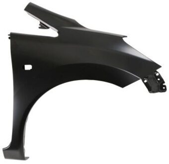 Nissan Spatbord 6504041638314P