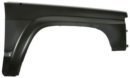 Nissan Spatbord 6504041646312P