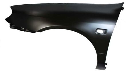 Nissan Spatbord 6504041668313P