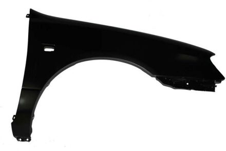 Nissan Spatbord 6504041668314P