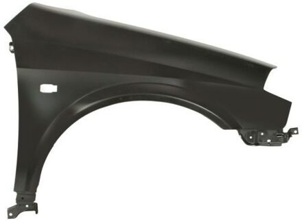 Nissan Spatbord 6504041670312P