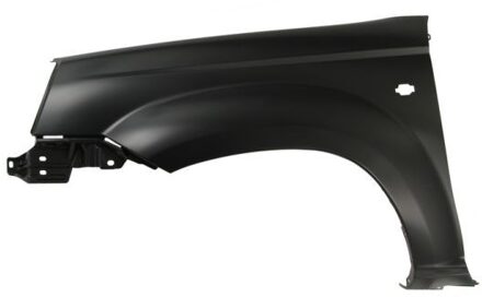 Nissan Spatbord 6504041678313P