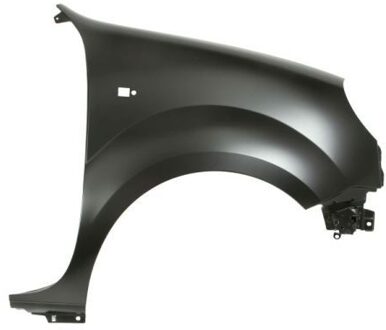 Nissan Spatbord 6504046010314P