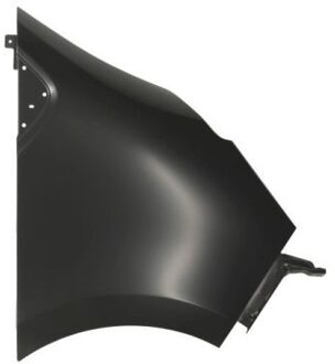 Nissan Spatbord 6504046066312P