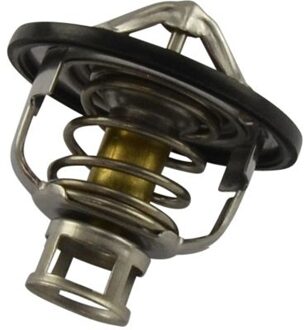 Nissan Thermostaat, koelvloeistof