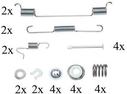 Nissan Toebehoren, remschoen