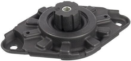 Nissan veerpootvoering 103110