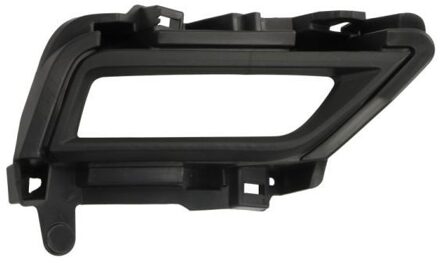 Nissan Ventilatiegrille, bumper 5513001611994P