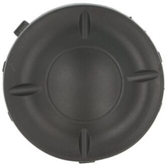 Nissan Ventilatiegrille, bumper 5513001619995P