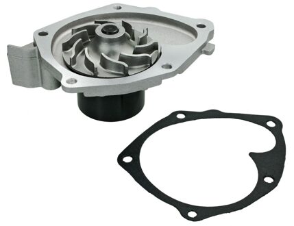 Nissan Waterpomp 16132200011