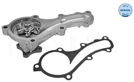 Nissan Waterpomp 36132200005