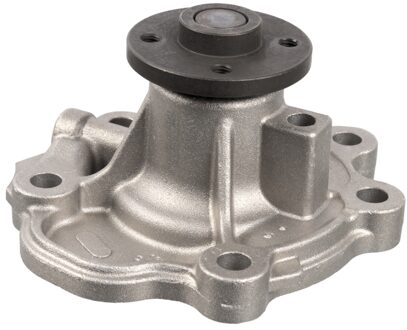 Nissan Waterpomp 39300