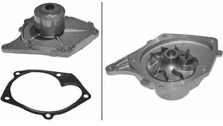 Nissan Waterpomp 538037310