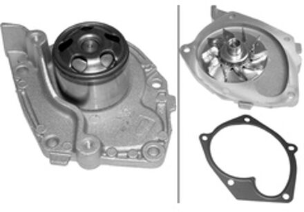 Nissan Waterpomp 538039210